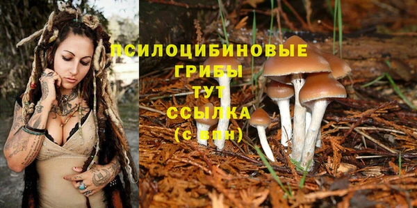 метадон Лихославль
