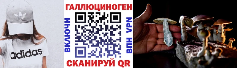 Купить где  Вятские Поляны  Псилоцибиновые грибы мухоморы 